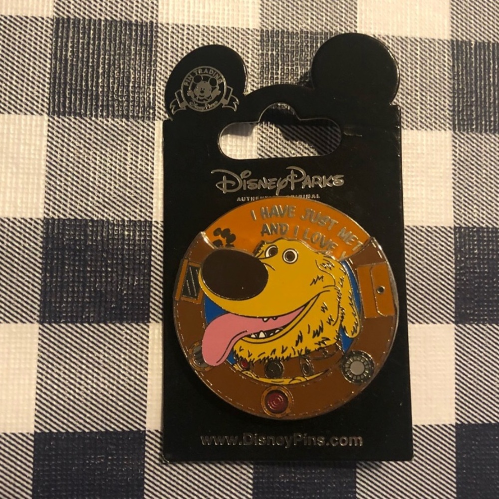 Disney Pin! Up!! 🏡